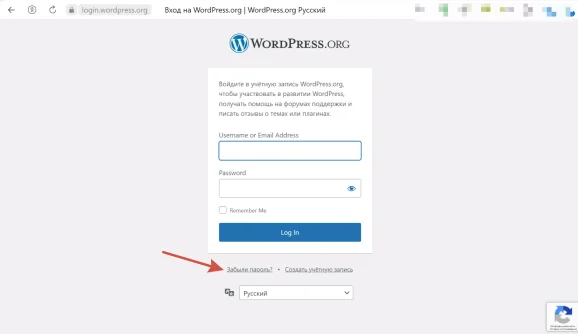 Страница входа WordPress со ссылкой Забыли пароль под формой