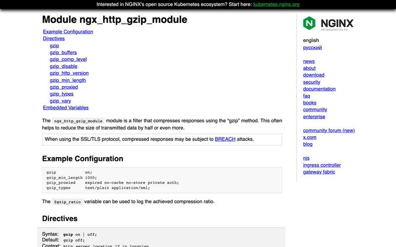 Страница документации модуля gzip для Nginx